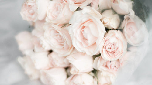 Rose Gold vs Roses