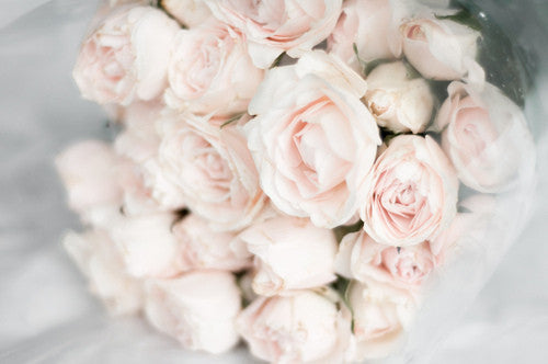 Rose Gold vs Roses
