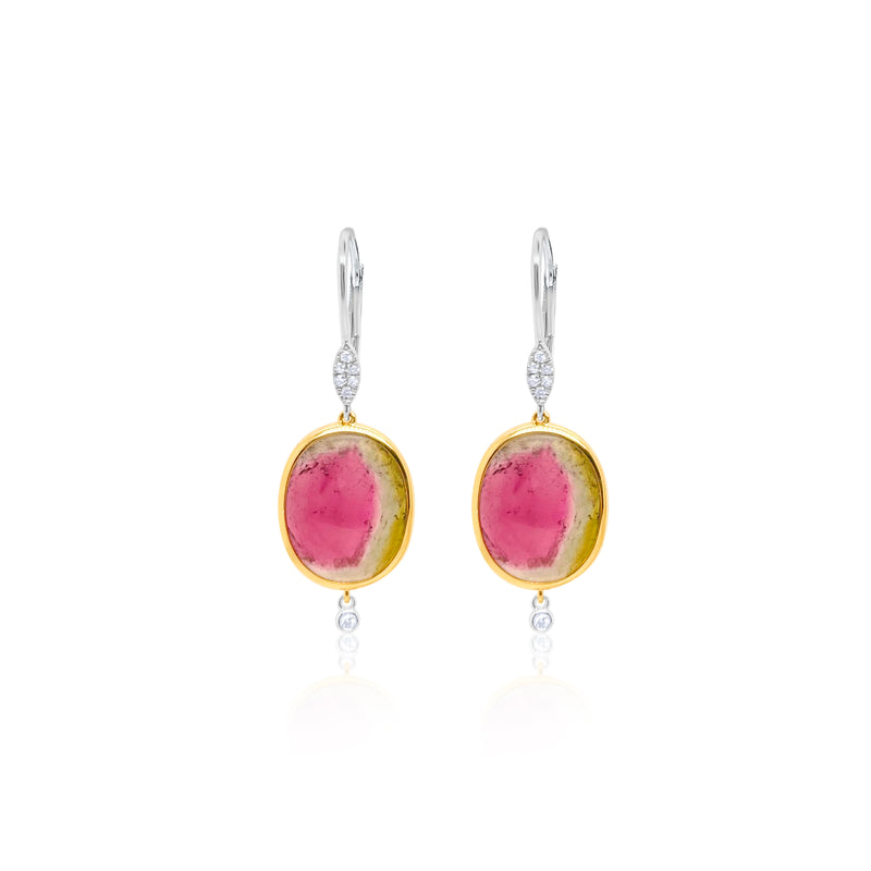 14kt Two Tone Circle Watermelon Tourmaline Diamond earrings