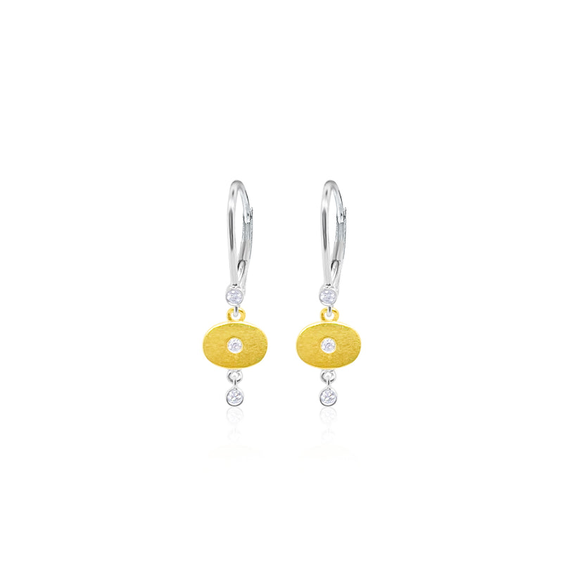 14 Kt White and Yellow Gold Brushed Diamond Bezel Drop Earrings