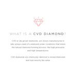 3.82 Cushion Carat Stud | Lab Grown Diamond *ONLINE EXCLUSIVE*