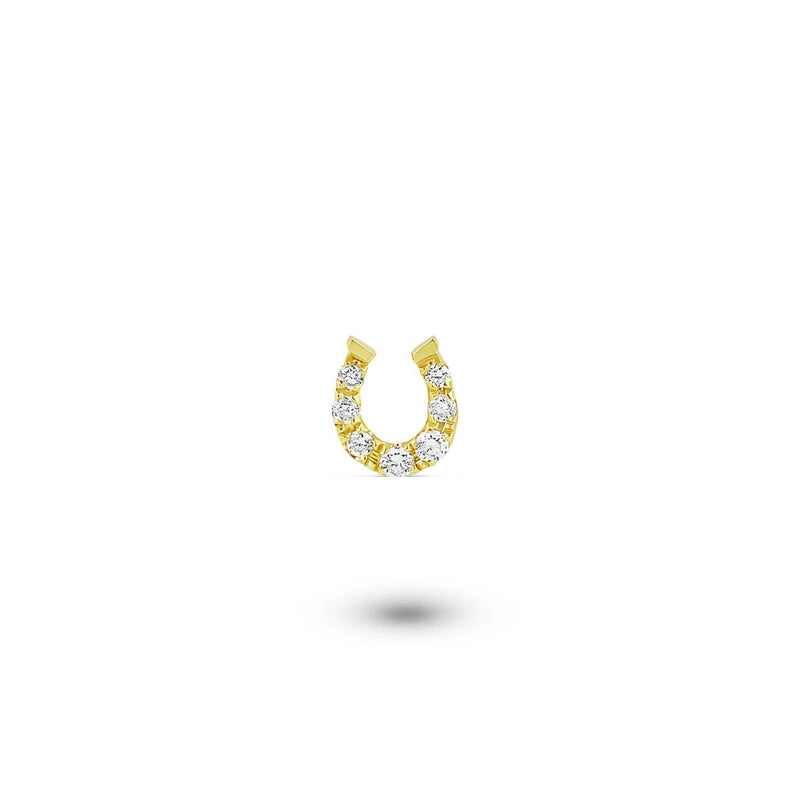 Custom Shaker | Diamond Horseshoe Charm