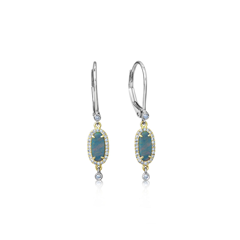 Dainty Opal Drop Earrings
