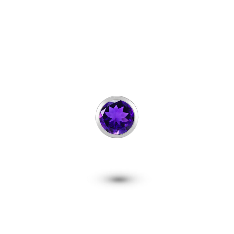 Custom Shaker | Amethyst Topaz Charm (February Birthstone)