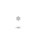 Custom Shaker | Diamond Star of David Charm
